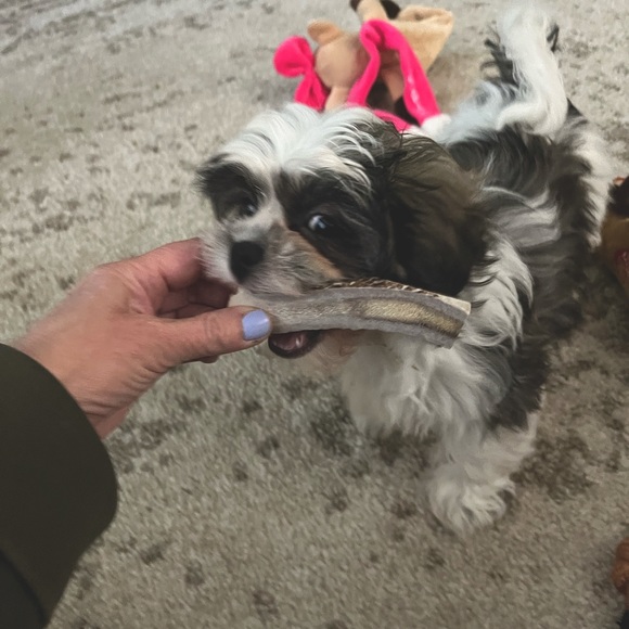 Meet your Posher, Meredith - Picture 10 of 15